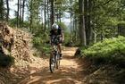 VTT en forêt VTT en forêt